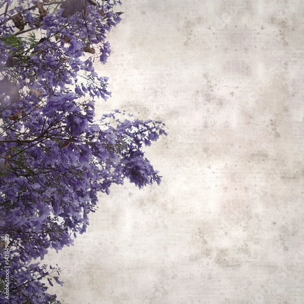 Fototapeta stylish square textured old paper background with Flowers of blue jacaranda, Jacaranda mimosifolia