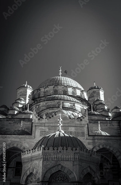 Fototapeta The majestic Yeni Camii (New Mosque) in black and white, a significant landmark of Ottoman architecture with the mosque's impressive array of domes, from the large central one to the smallest.
