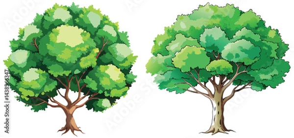 Obraz Hand-Drawn Watercolor Tree Illustration on White Background