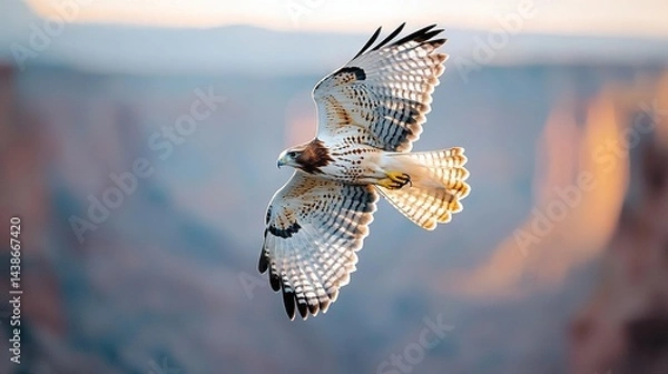 Obraz   A white and brown bird flies over a canyon with a cliff in the background and a canyon in the foreground