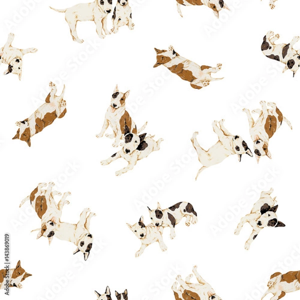 Fototapeta ブルテリア柄