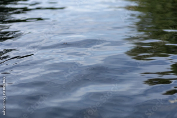 Obraz The surface of the water with light ripples.