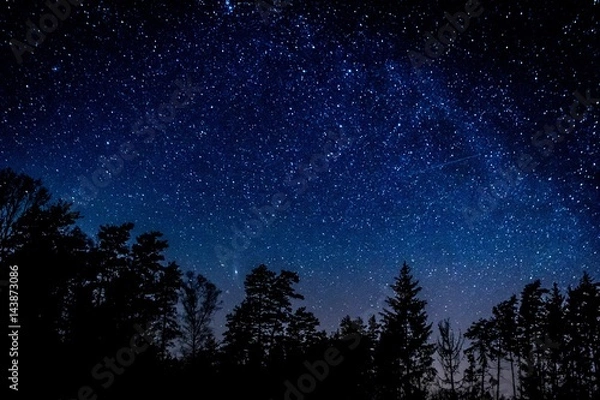 Obraz Night sky over rural landscape
