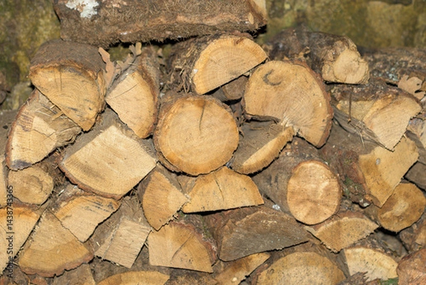 Fototapeta Firewood chopped and stored for lighting small log fires in winter
