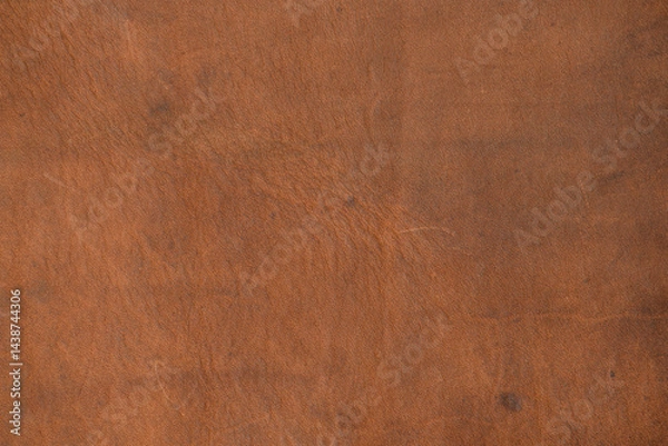 Fototapeta Genuine brown leather texture. Calfskin leather surface with natural unique pattern, background, close-up, high resolution.