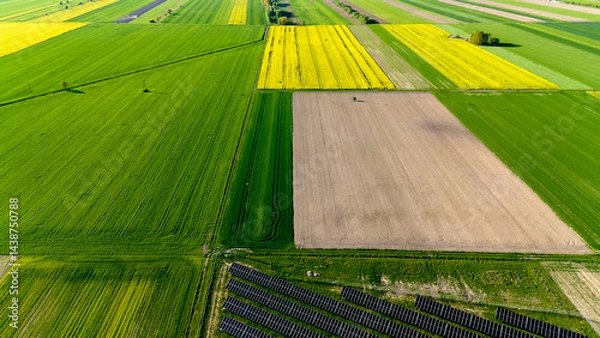 Fototapeta Field of crops with a few black squares in the middle. Aerial view of landscape.