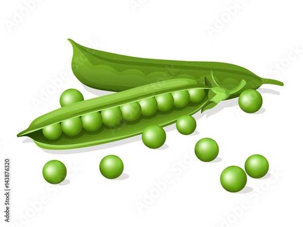 Fototapeta green pea