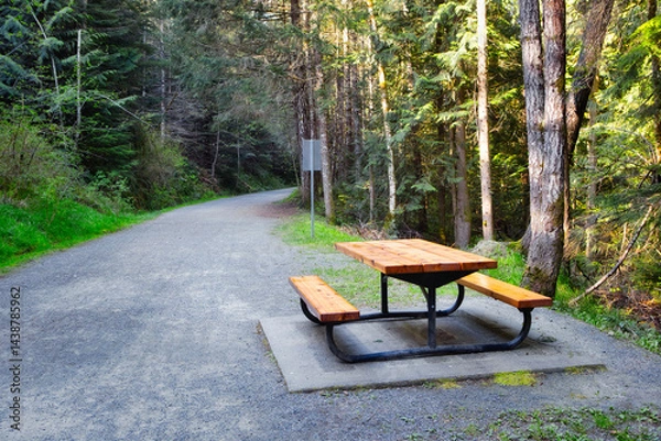 Fototapeta Picnic table in the trail at Kinsol Trestle, cowichan valley, vancouver island, british colombia, canada