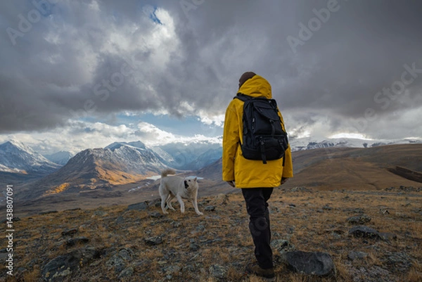 Fototapeta A traveler in bright clothes with a backpack on his back, walks against the background of snowy mountains during the golden hour with his pet. A man and a dog in the mountains.