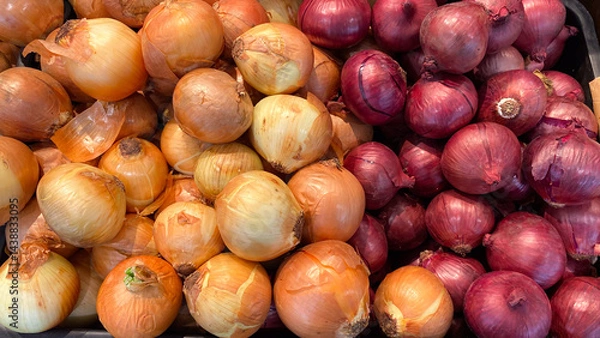 Fototapeta Golden and red onions are stacked high in a bin using close up technique.