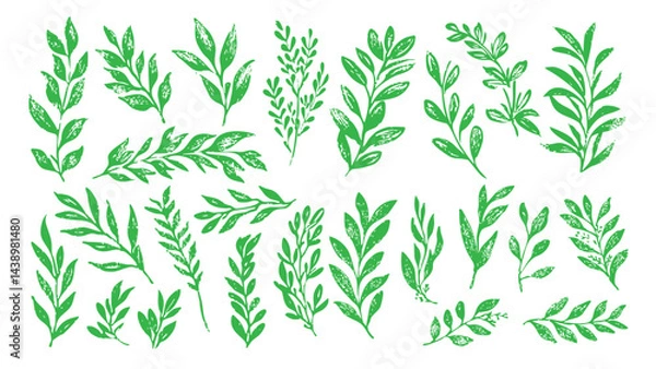 Fototapeta Rustic Leafy Branches Clipart in Green Style