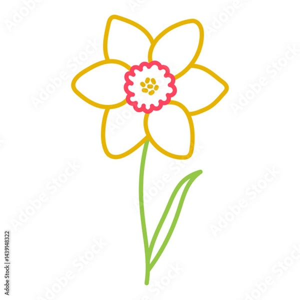 Obraz Narcissus. Doodle flower with stem and leaf. Vector hand drawn color sketch
