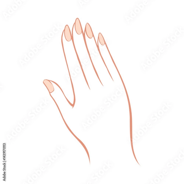 Obraz 綺麗な手指のイラスト