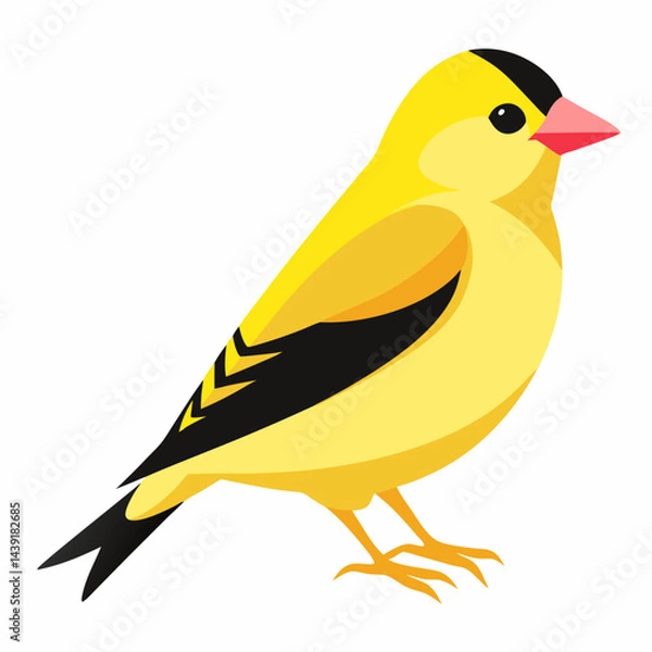 Fototapeta yellow bird