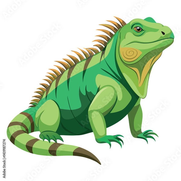 Fototapeta Iguana Vector 