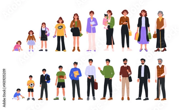 Fototapeta People age. Man and woman life cycle. Old and young adult human, child and baby, family life. Different generation growth, sequence process, evolution. Vector cartoon isolated characters