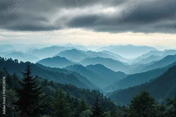 Fototapeta Misty mountain landscape with dense evergreen trees under a cloudy sky.