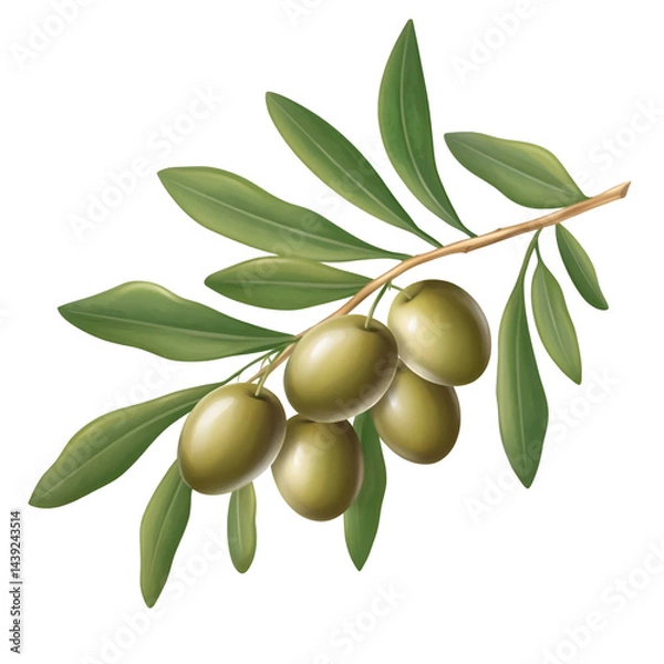 Fototapeta Closeup branch with green leaves and light yellowish nuts