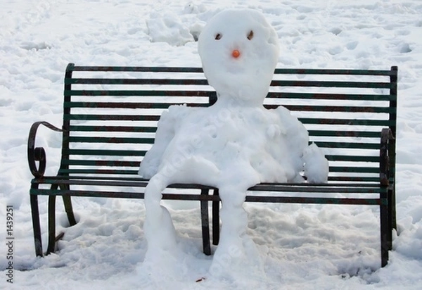 Obraz seated snowman