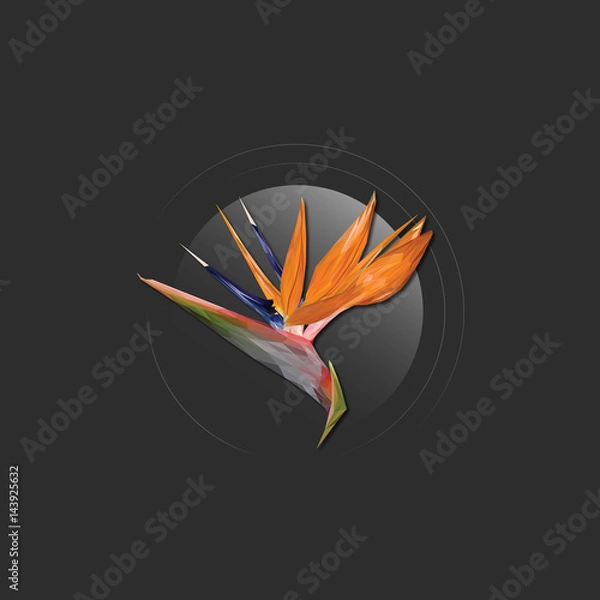 Obraz Low Poly Flower