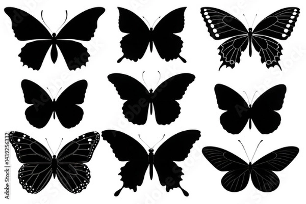 Obraz collection of butterflies