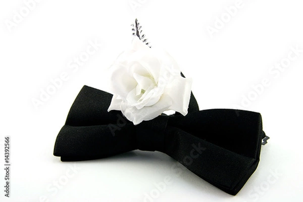 Obraz Black Bow Tie and White Rose