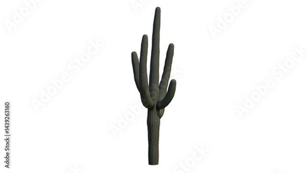 Obraz Succulent plant