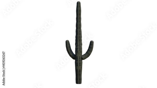 Obraz Succulent plant