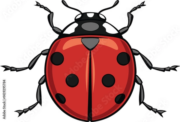 Fototapeta Photorealistic ladybug with glossy shell and detailed legs on white background in hyper detailed vector art style