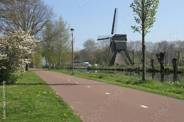 Fototapeta Cyclepath with windmills and blossoms