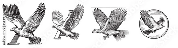 Obraz Vintage Artistic Illustrations of Birds in Flight and Typography, Set Logo design, Vector Illustration, Engraving style