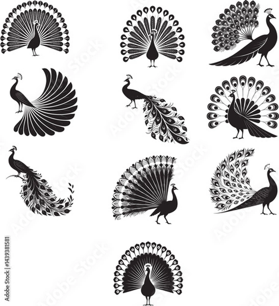 Obraz Peacock vector icons