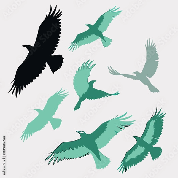 Obraz vector set of eagles. birds vector set for professional works