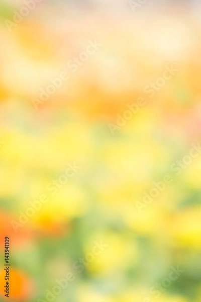 Fototapeta abstract blur colorful style background