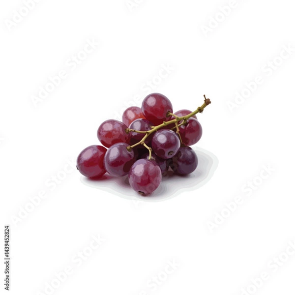 Fototapeta Fresh grape vector image in 3D