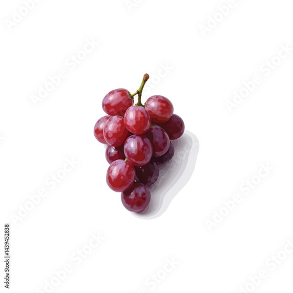 Fototapeta Fresh grape vector image in 3D