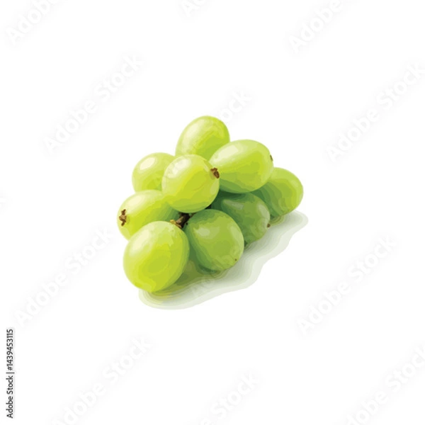 Fototapeta Fresh grape vector image in 3D