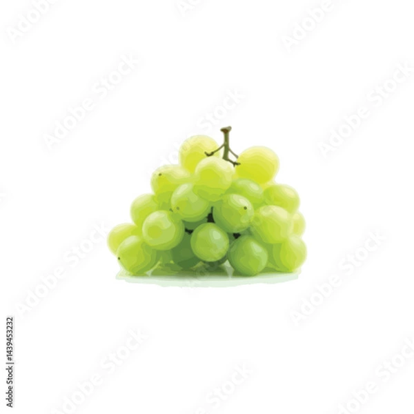 Fototapeta Fresh grape vector image in 3D