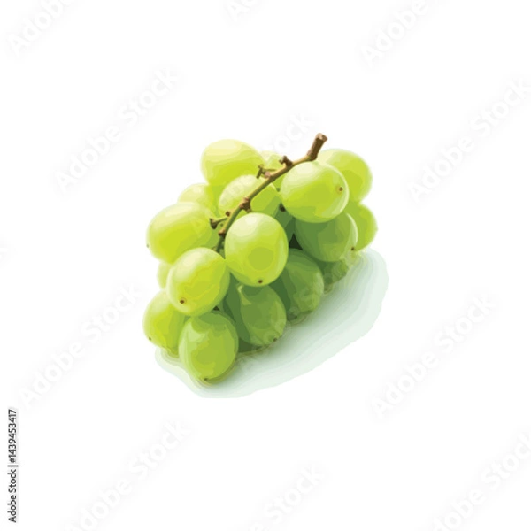 Fototapeta Fresh grape vector image in 3D