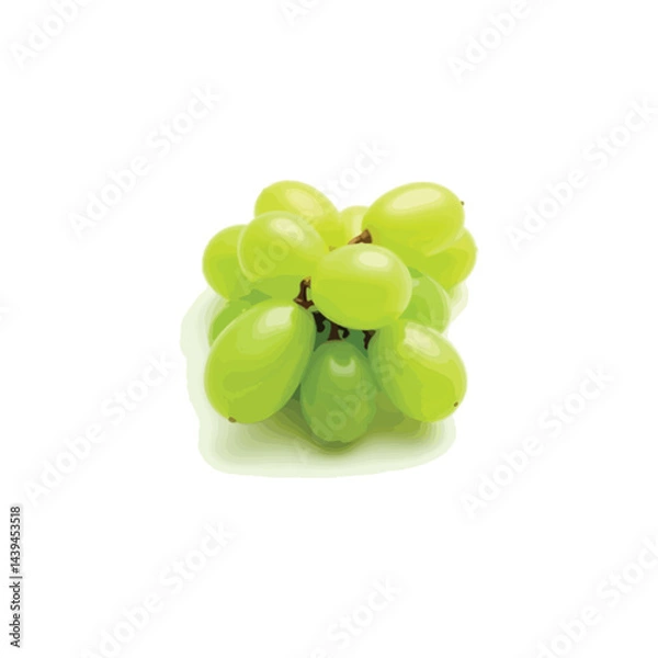 Fototapeta Fresh grape vector image in 3D
