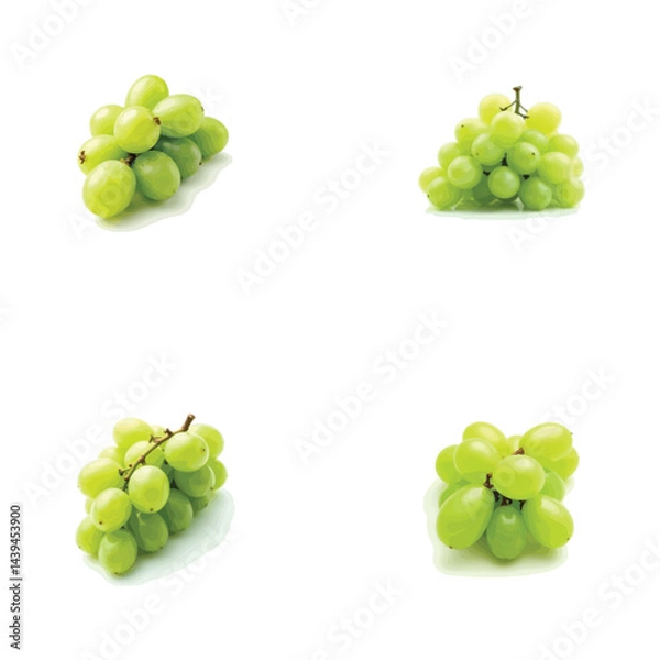 Fototapeta Fresh grape vector image in 3D