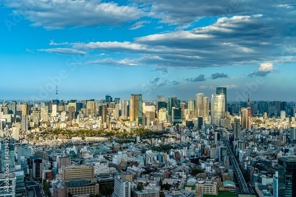 Obraz new york city skyline