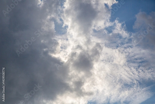 Obraz 奄美大島の自然。午後の風景。