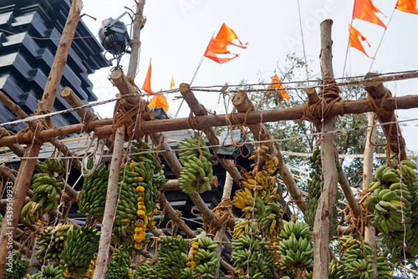 Fototapeta hindu banana festival in baga goa