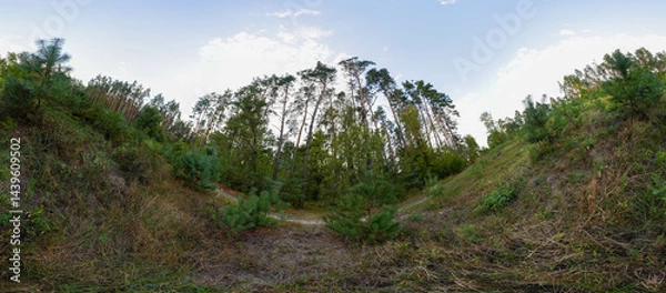 Fototapeta Full seamless 360 degree angle view spherical HDRi panorama of green forest trails during autumn season in equirectangular projection. AR VR virtual reality content scene natural landscape panoramic
