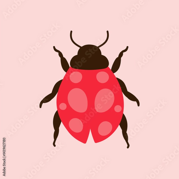Obraz Ladybug hand drawn simple illustration