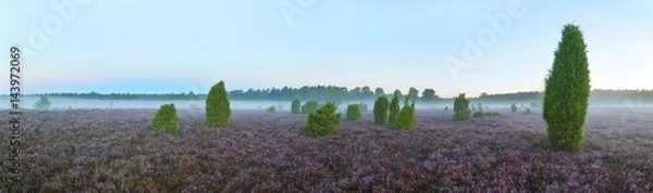 Fototapeta Heidelandschaft, Morgendämmerung