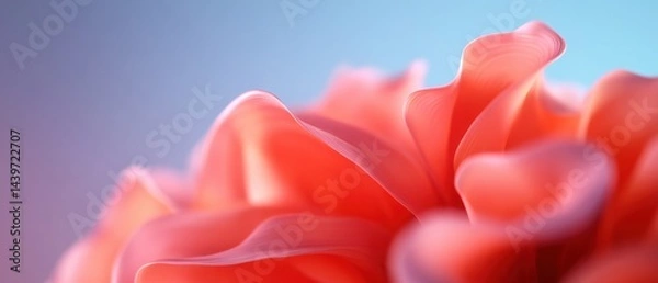 Fototapeta Red abstract flower petals texture
