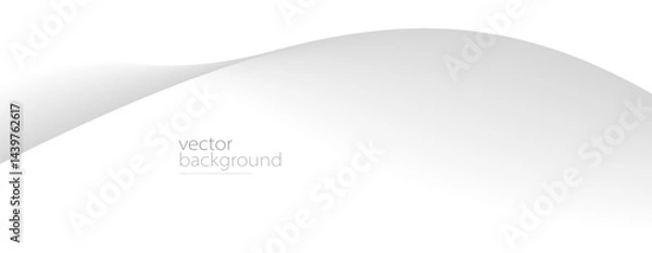 Fototapeta Smooth flow of wavy shape with gradient vector abstract background, light grey design curve line energy motion, relaxing image or technology.
