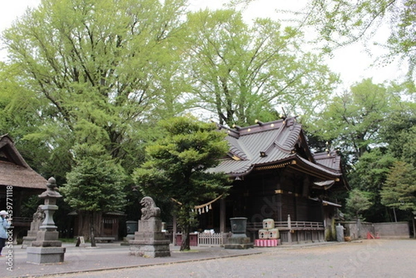 Obraz 玉敷神社の拝殿